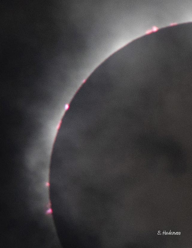 close up of leading edge prominences
